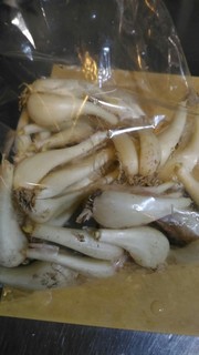 新ラッキョウ鹿児島産20190513.jpg