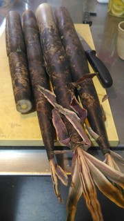 真竹20190627-2.jpg